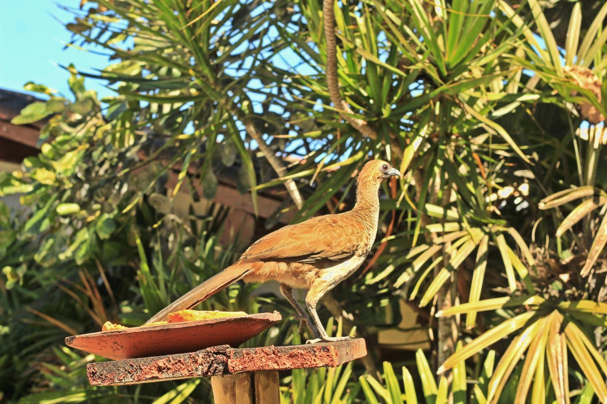Pousada Fragata - Arraial D Ajuda - Melhor Localizacao E Atendimento Arraial d'Ajuda Exteriör bild